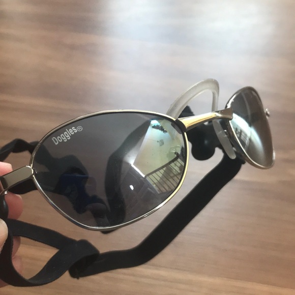 dog aviator sunglasses